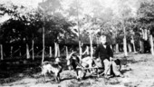 Charles Noegel with his team of goats and cart