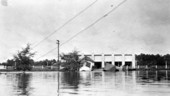 Flooding of the Suwannee and Withlacoochee Rivers at the Suwanee River Park - Ellaville, Florida