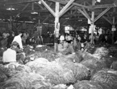Suwannee County tobacco auction - Suwannee County, Florida