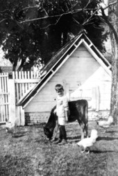 John Hays Long, age 6, watching the farm animals