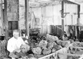 Sponge warehouse - Key West, Florida.