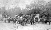 Wagons with mule teams - Madison County, Florida
