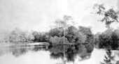 Junction of the Wekiwa and Withlacoochee Rivers