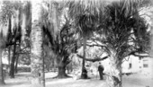Family in their backyard - New Smyrna, Florida