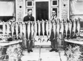 Fishermen with large catch