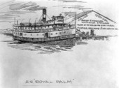 "Royal Palm", drawn by Philip Ayers Sawyer