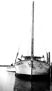 Sloop, "Charry M" - Tarpon Springs, Florida
