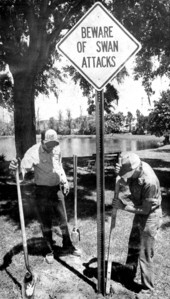 Monroe Lawrence (left) and B.L. Castle erect a sign at Fountain Lake - Leesburg, Florida