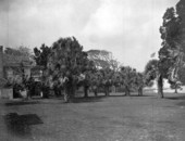 Fort George Club and grounds - Fort George Island, Florida