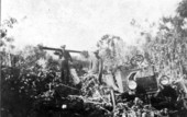 View of land during building of the Moore Haven and Clewiston Railway - Sand Point, Florida