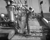 Fisherman standing with an Atlantic goliath grouper.