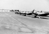 Line of Vultee BT-13 Valiant planes used during primary flight training at Dorr Field in Arcadia, Florida.