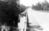 View showing the State Road 136 bridge going south over the Suwannee River at White Springs, Florida.