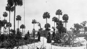 Garden of the Sanford House hotel.