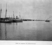 View of the harbor - Jacksonville, Florida.