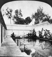 Bathing pool - Green Cove Springs, Florida.