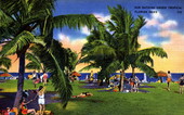 Sun bathing under tropical Florida skies