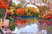 Beautiful Suwannee River.