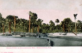 Green Point - Apalachicola Bay, Florida.