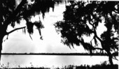 Lake scene