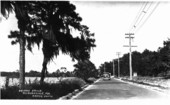 Ariana Drive - Auburndale, Florida