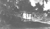 Well dressed people on a path lined with rocks and plants
