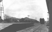 Florida Citrus Exchange building with a train in front.