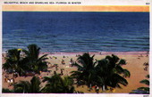 Delightful beach and sparkling sea - Florida in winter