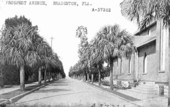 Prospect Avenue - Bradenton, Florida