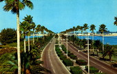Looking westward over Clearwater's Memorial Causeway