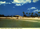 Beautiful Coquina Beach - Florida on the Gulf of Mexico