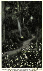 Cypress block path through gardenias at Cypress Gardens - Florida