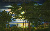 Moonlight on Biscayne Bay, Coconut Grove, Miami, Florida.