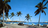 Phillips Point on Lake Worth with the beautiful skylines of Palm Beach and West Palm Beach in the distance.
