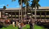 Rear view of grandstand at Hialeah Park race course.