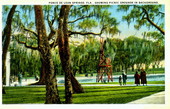 Ponce De Leon Springs, Florida - showing picnic grounds in background
