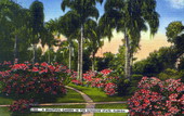 A beautiful garden in the Sunshine State - Florida