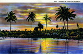 Sunset in tropical Florida.