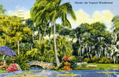 Florida, the tropical wonderland.