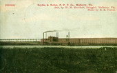 Drybin & Tetfer, P. P. P. Co., Mulberry, Fla.