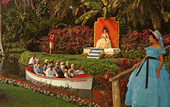 Visitors admiring Southern Belles at Cypress Gardens.