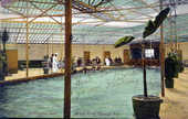 Swimming pool - Green Cove Springs, Florida