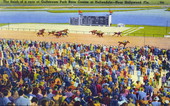 The finish of a race at Gulfstream Park race course - Hallandale, Florida