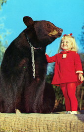 Television's Gentle Ben - Homosassa Springs, Florida.