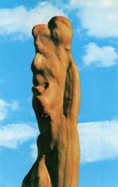 Close-up view of cypress knee at the Tom Gaskins' Cypress Knee Museum in Palmdale.