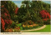 St. Petersburg's colorful Sunken Gardens.