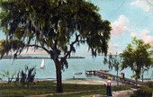 View from Phoenix Park - Jacksonville, Florida