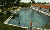 Wall Springs Park swimming pool in Palm Harbor.