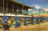Greyhound parade before fans at the West Flagler Kennel Club race track in Miami.