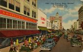 "The Famous Green Benches" - St. Petersburg, Fla.